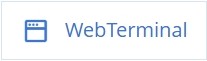 WebTerminal
